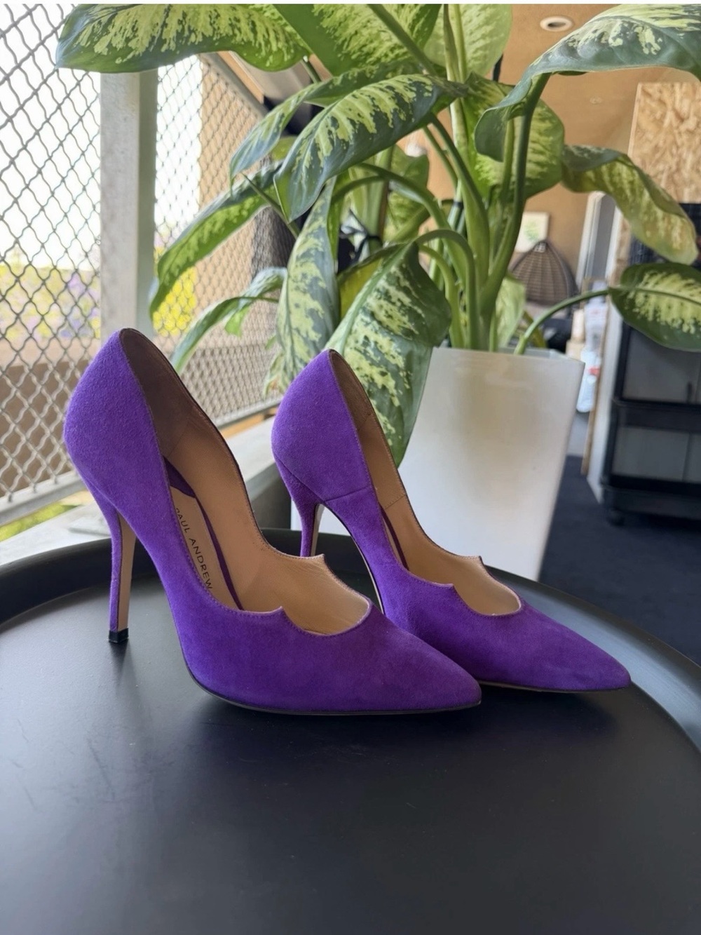 PAUL ANDREW Purple Suede Pointed Toe Pumps (Size 35 / US 5)